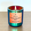 Mini Polychrome Scented Candles • 2.7 oz