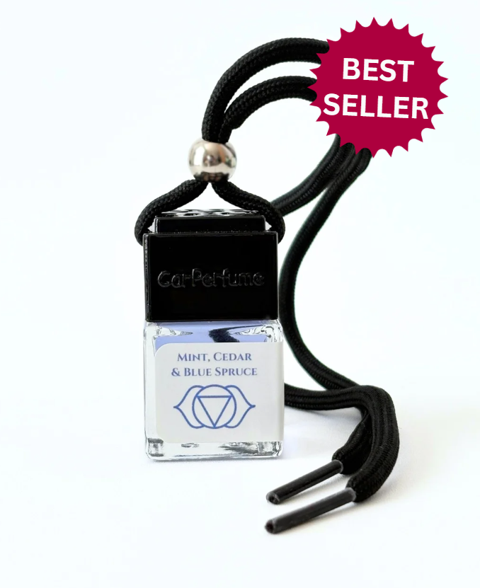 Scented Car Diffusers • .27 oz
